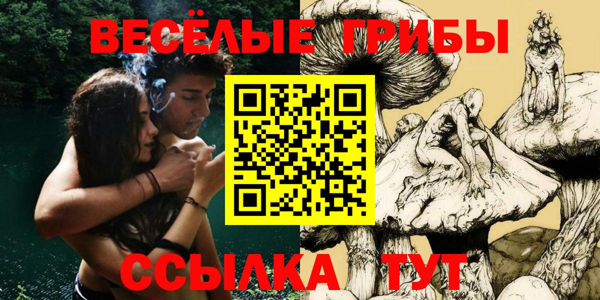 Псилоцибиновые грибы Cubensis Наро-Фоминск